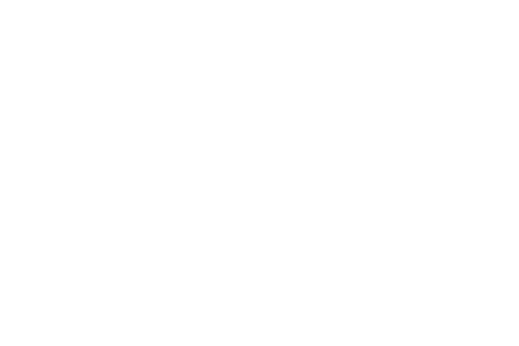 Tenby's Great Escape